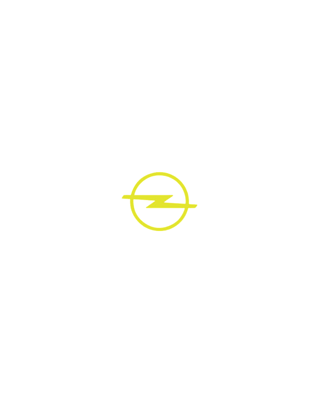 OPEL License Plate Cover