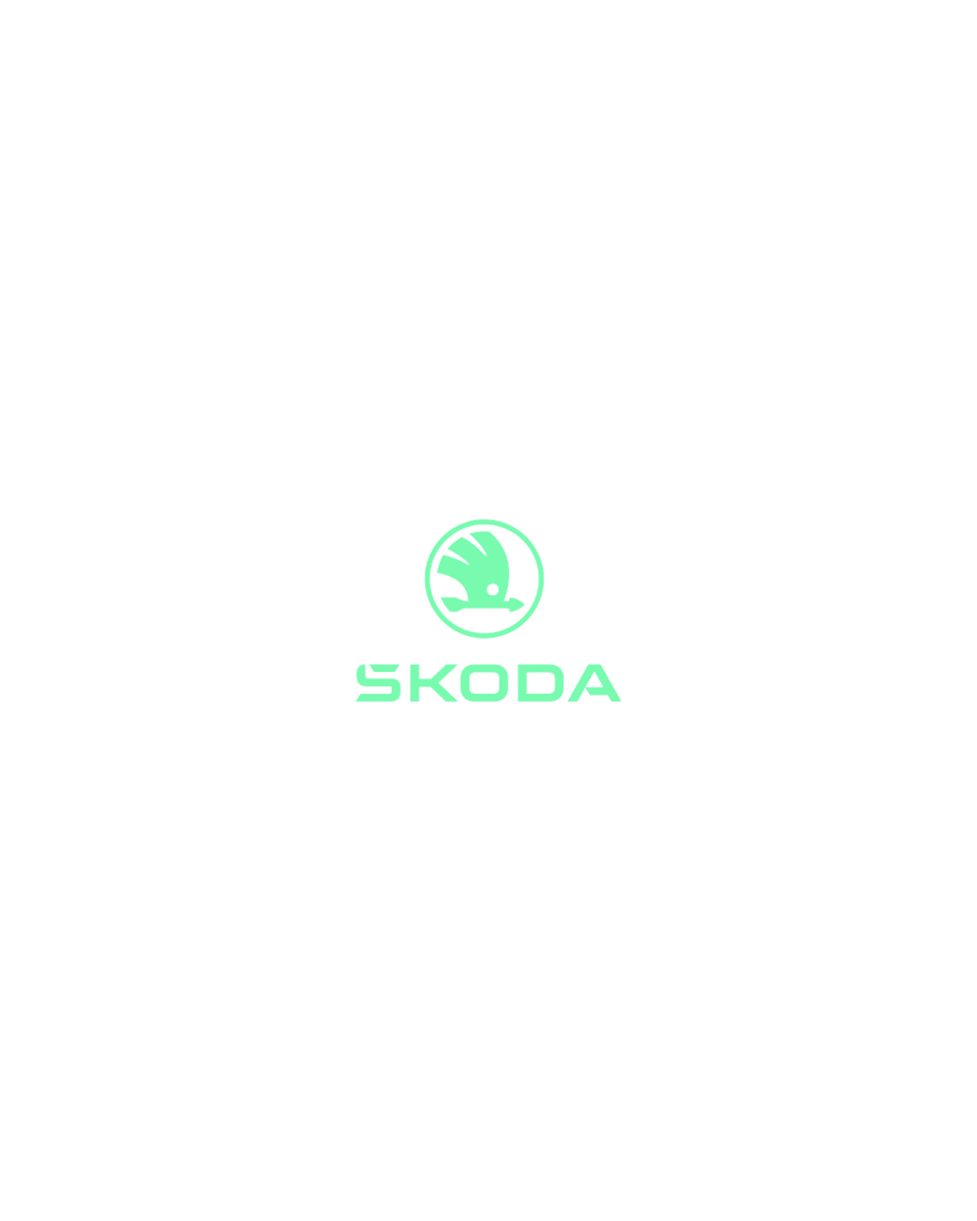 Cache Plaque SKODA