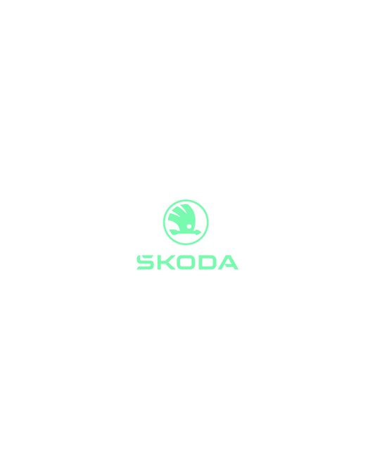 Cache Plaque SKODA