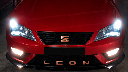 Lettrage LEON